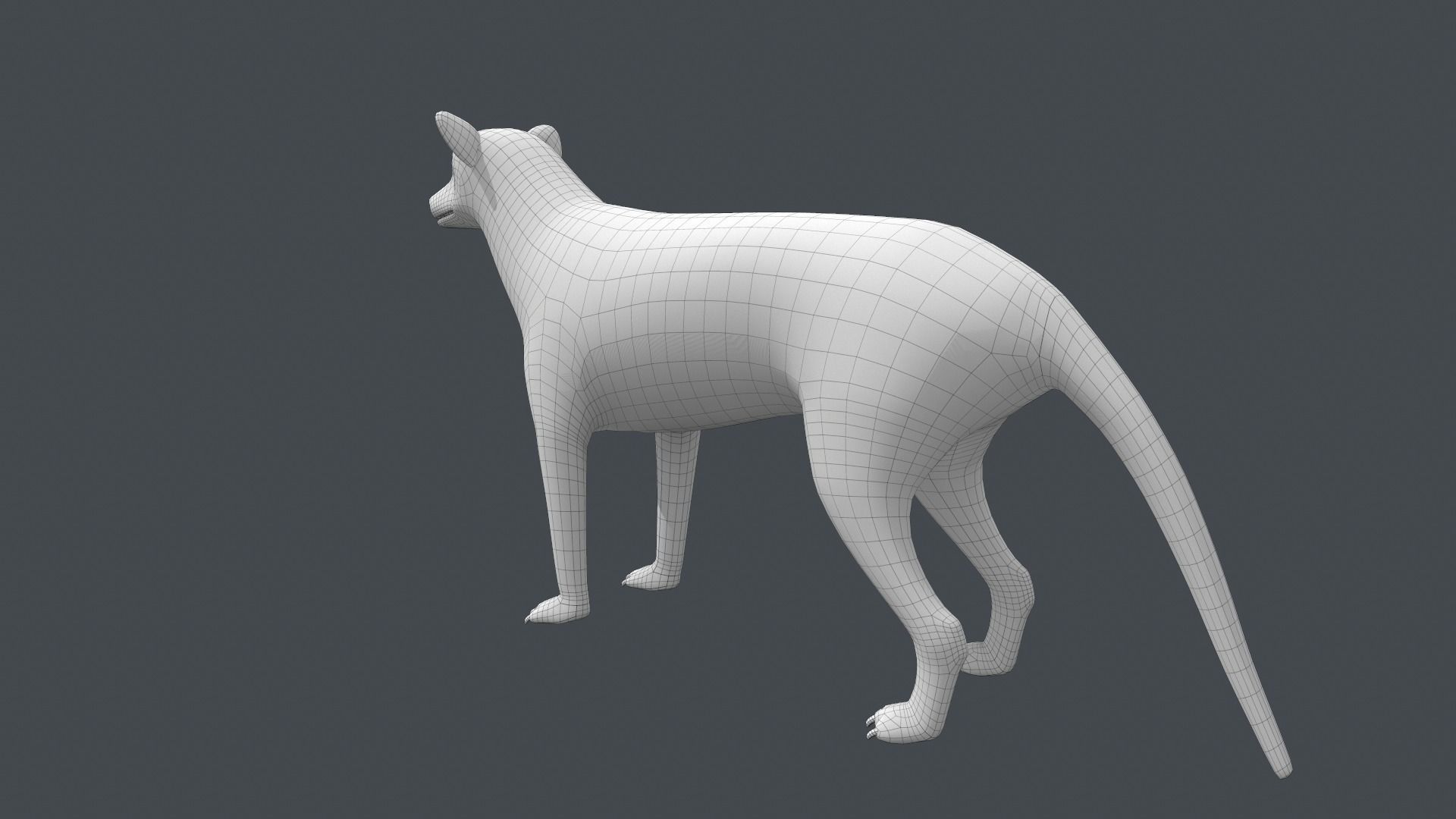Tasmanian tiger Low-poly 3D model_11