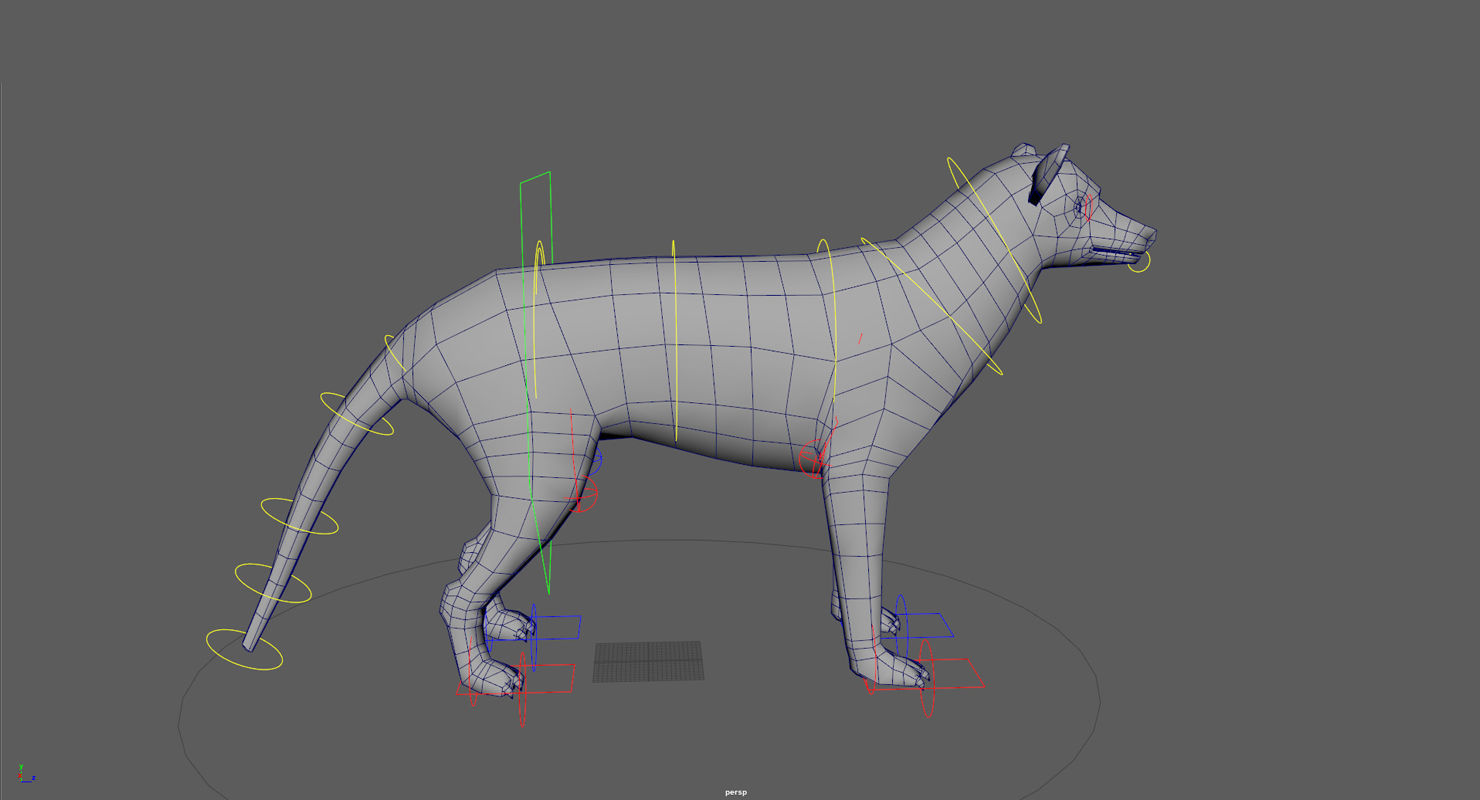 Tasmanian tiger Low-poly 3D model_9