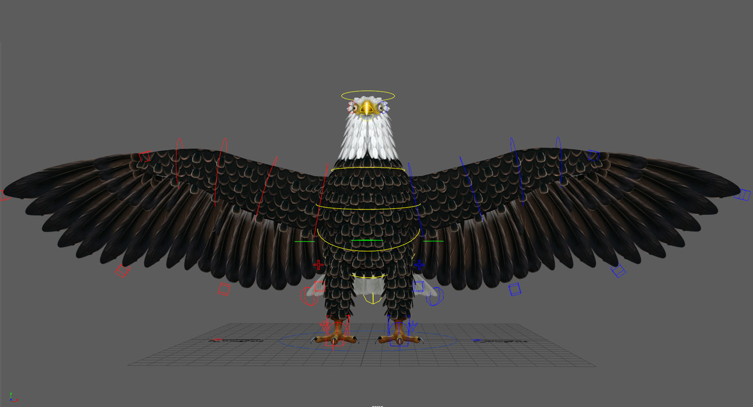 Bald Eagle Low-poly 3D model_18
