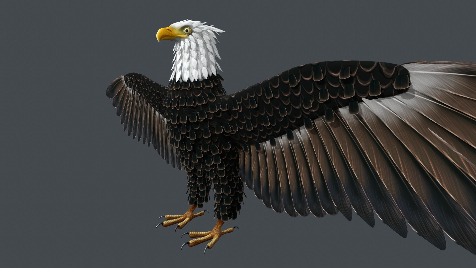 Bald Eagle Low-poly 3D model_5