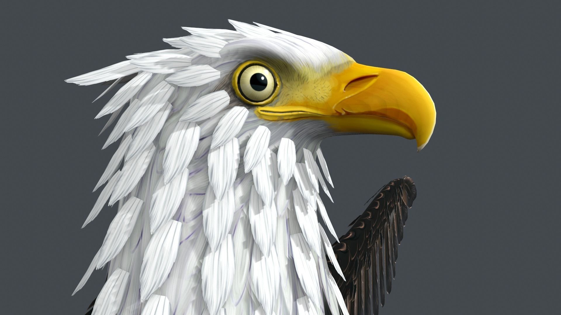 Bald Eagle Low-poly 3D model_2