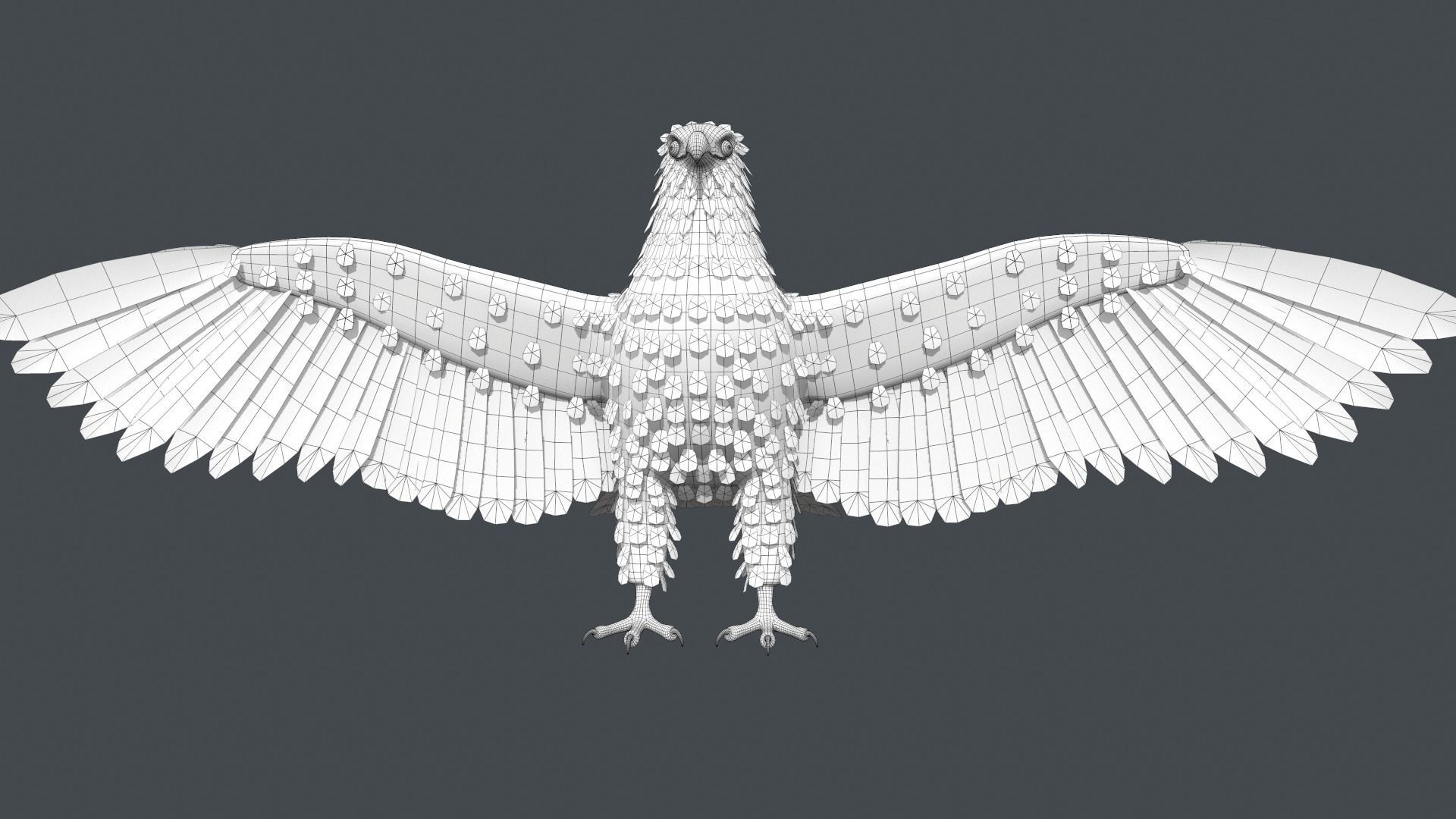 Bald Eagle Low-poly 3D model_20