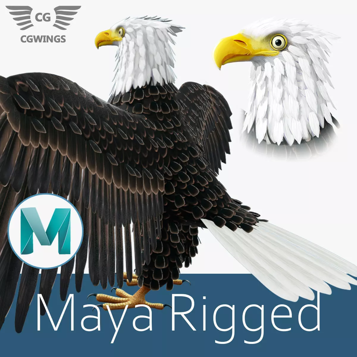 Bald Eagle Low-poly 3D model_0