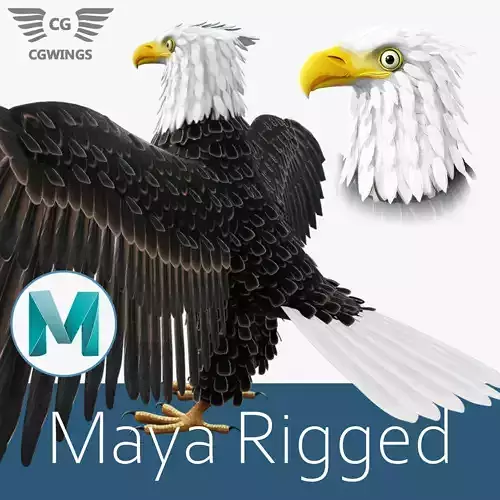 Bald Eagle Low-poly 3D model