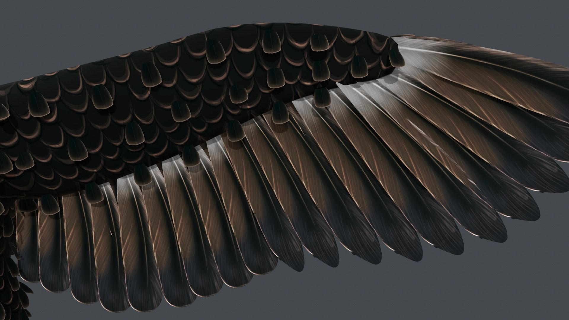 Bald Eagle Low-poly 3D model_10