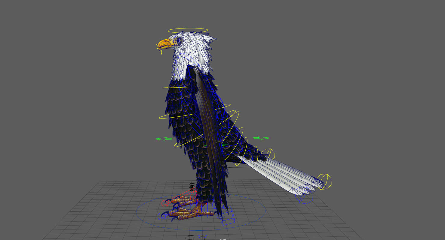 Bald Eagle Low-poly 3D model_16