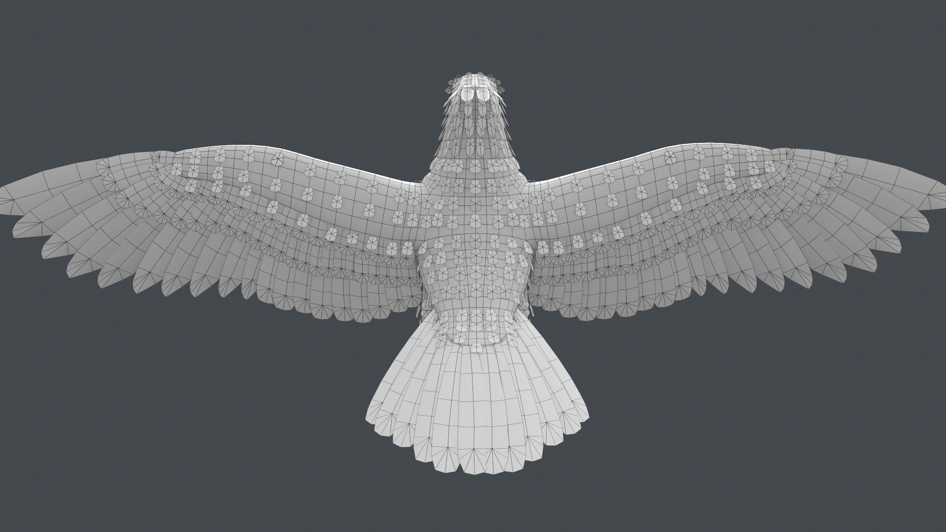 Bald Eagle Low-poly 3D model_19