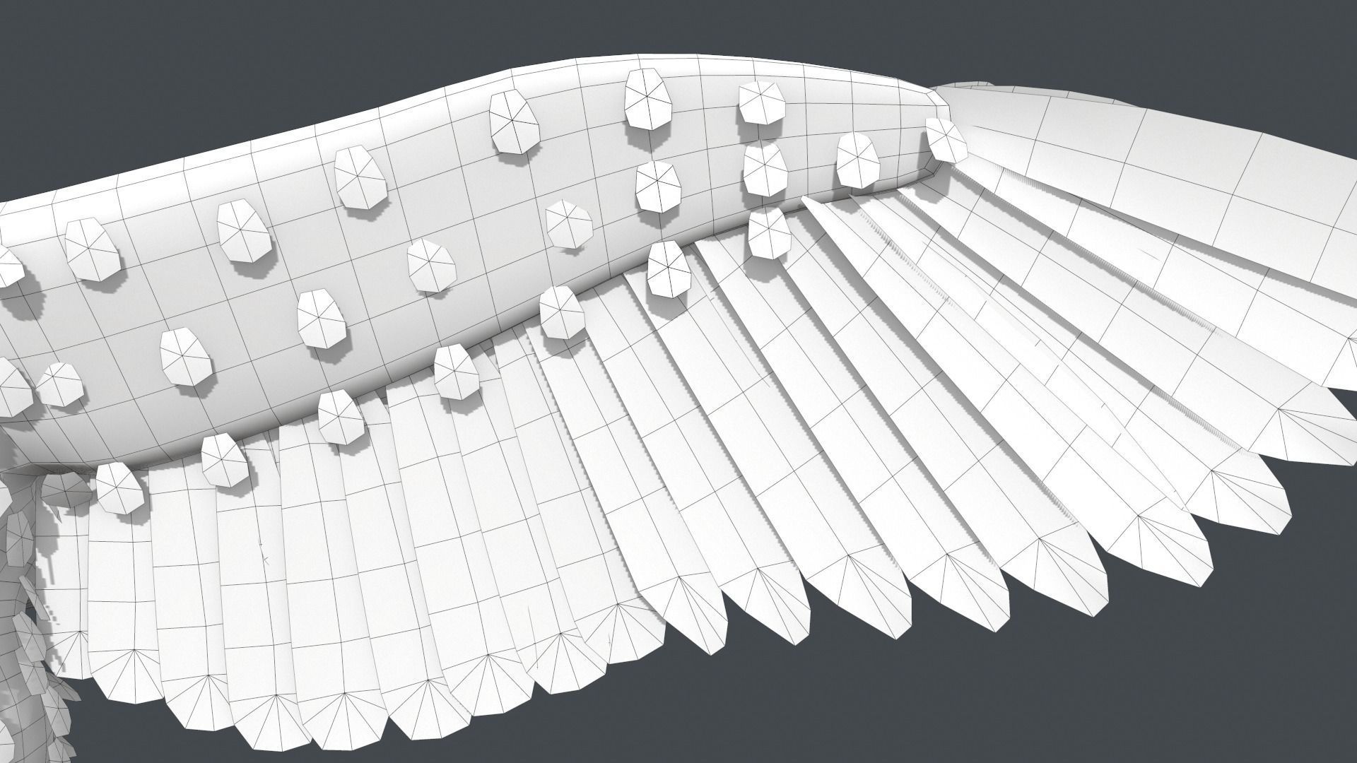 Bald Eagle Low-poly 3D model_25