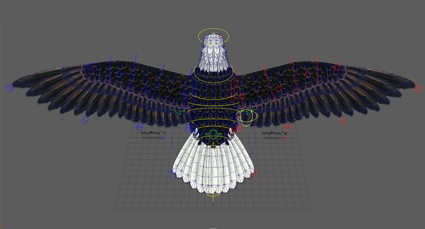 Bald Eagle Low-poly 3D model_11