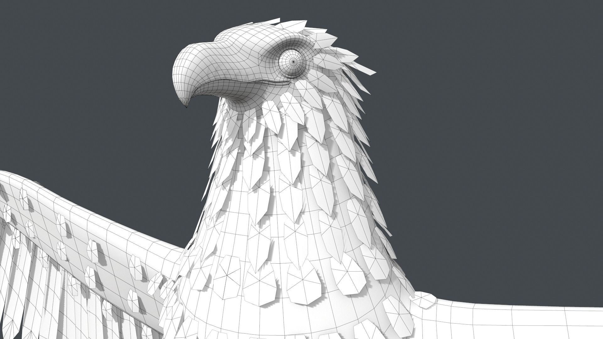 Bald Eagle Low-poly 3D model_21