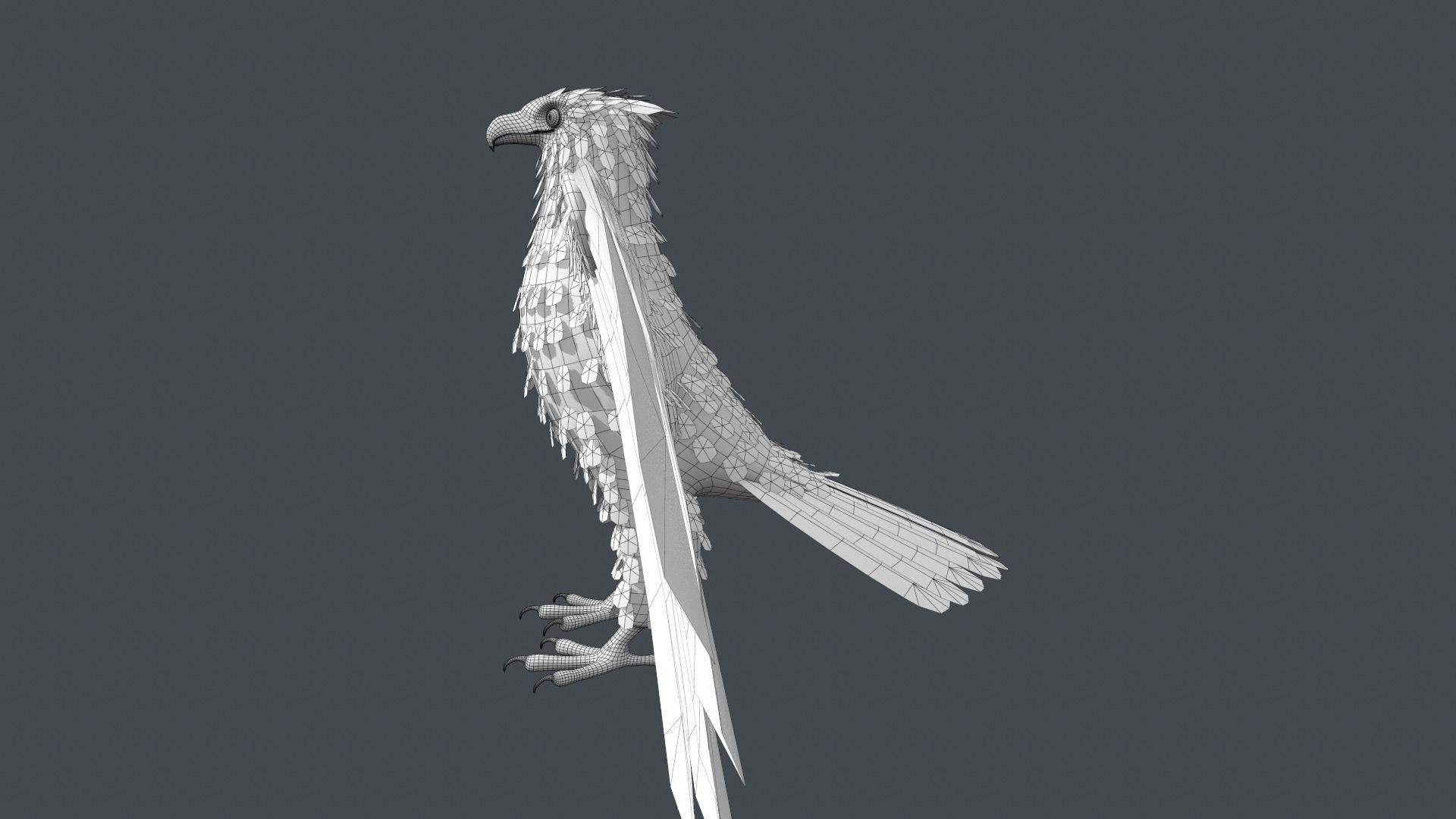 Bald Eagle Low-poly 3D model_24