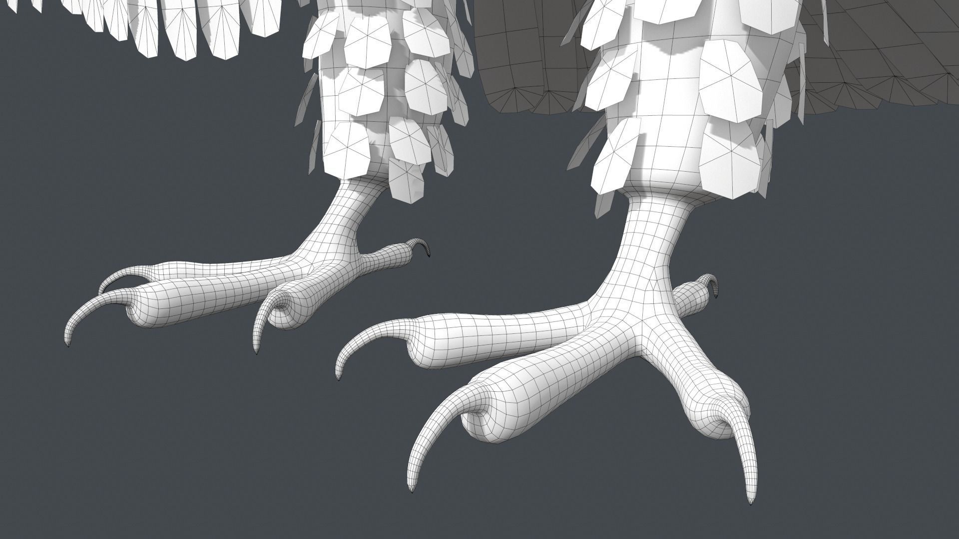 Bald Eagle Low-poly 3D model_22