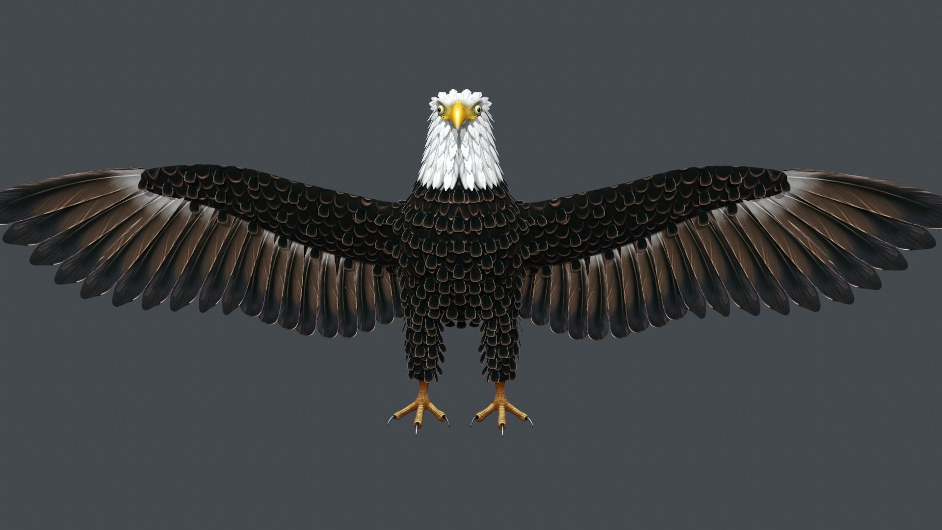 Bald Eagle Low-poly 3D model_6