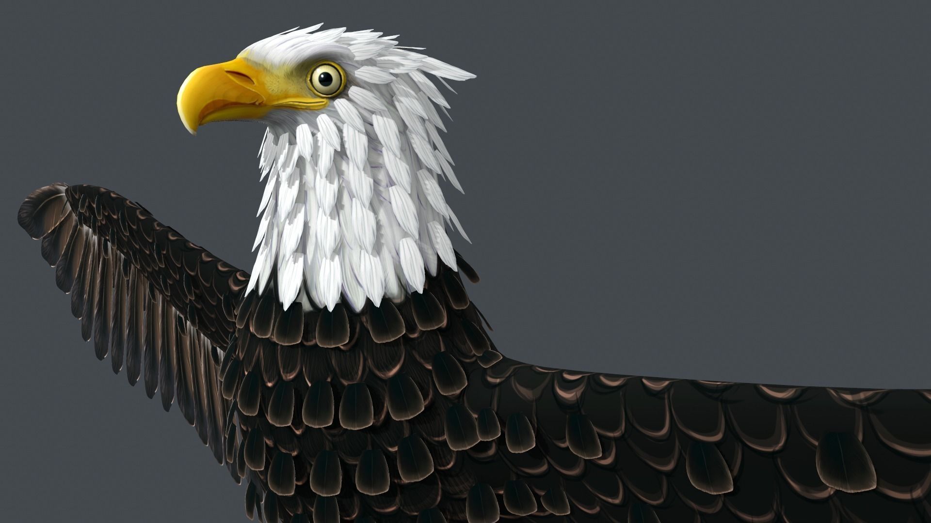 Bald Eagle Low-poly 3D model_4