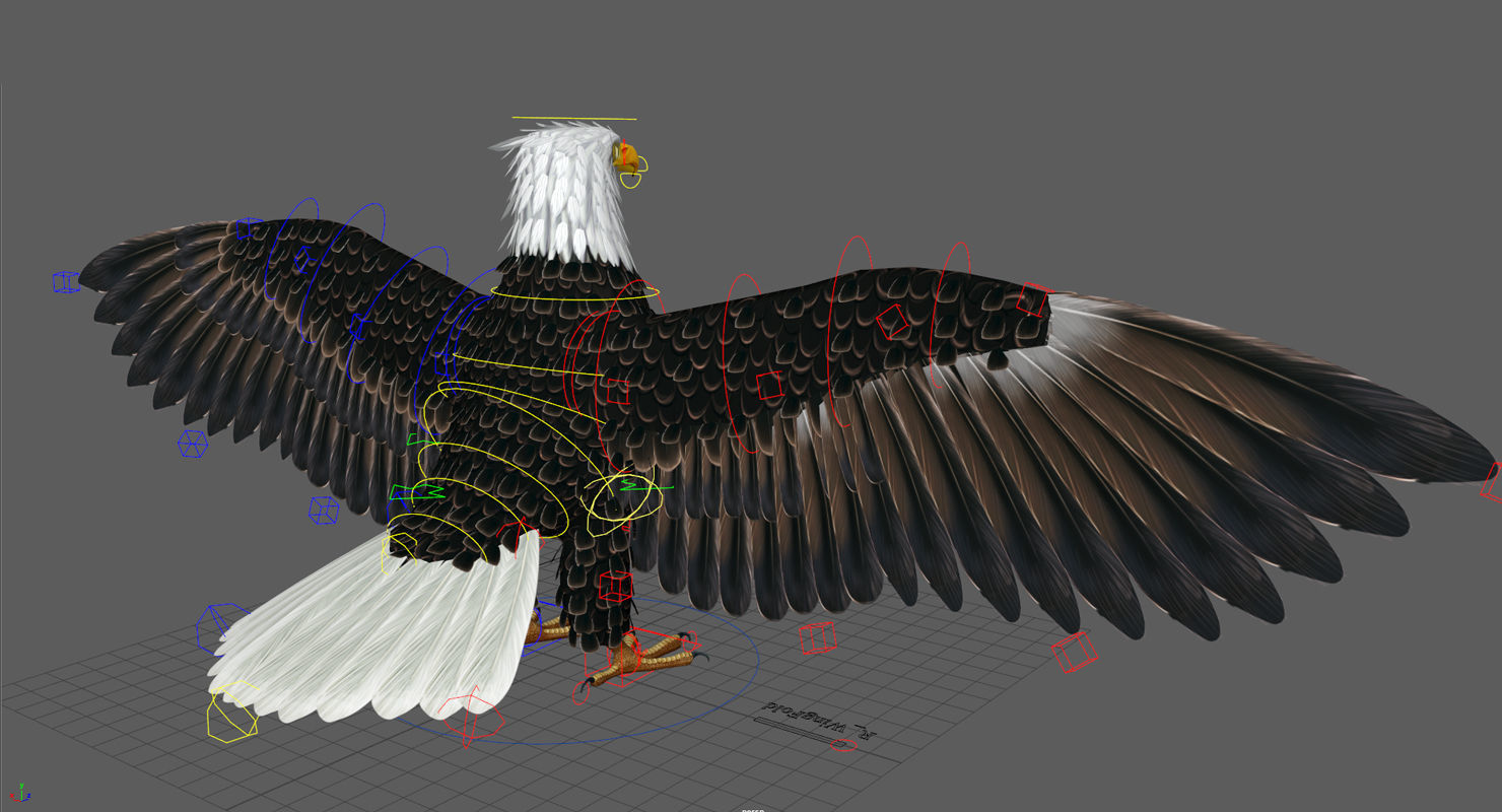 Bald Eagle Low-poly 3D model_15