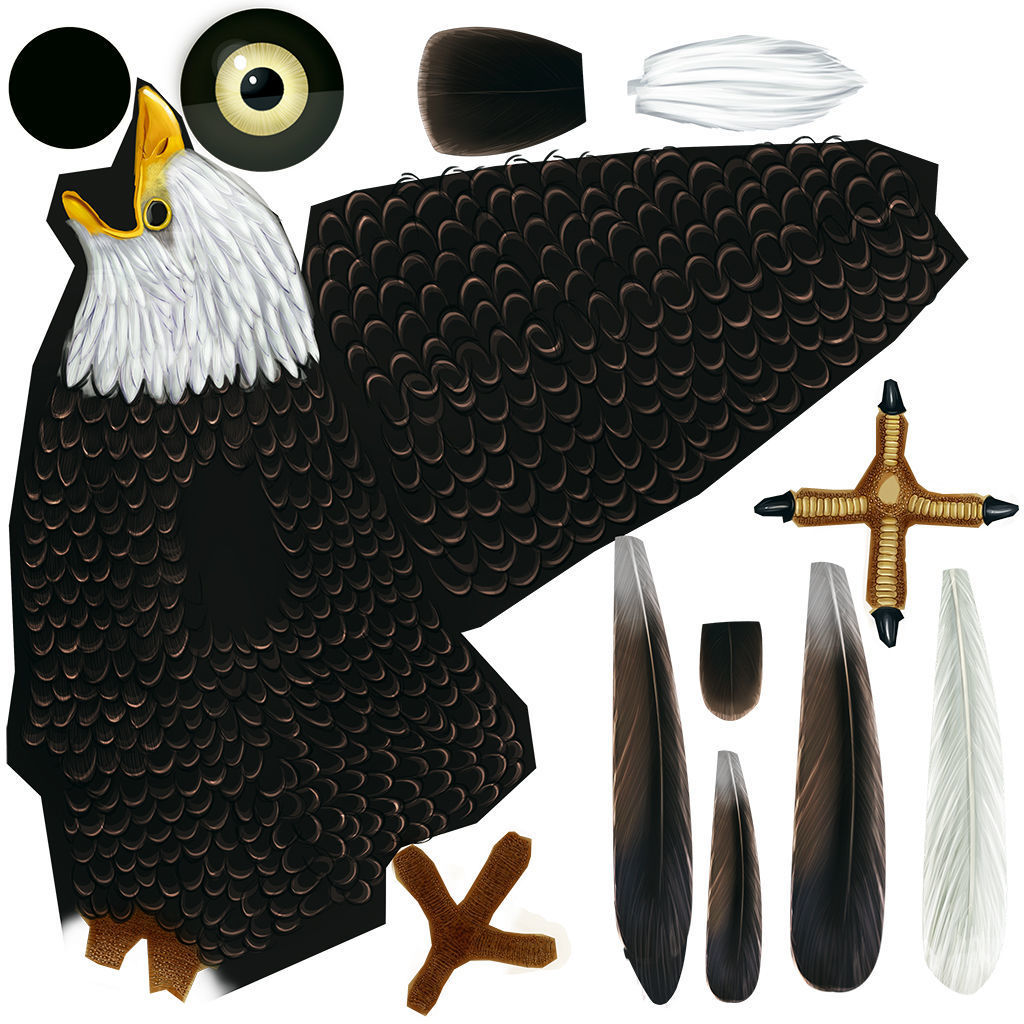 Bald Eagle Low-poly 3D model_26
