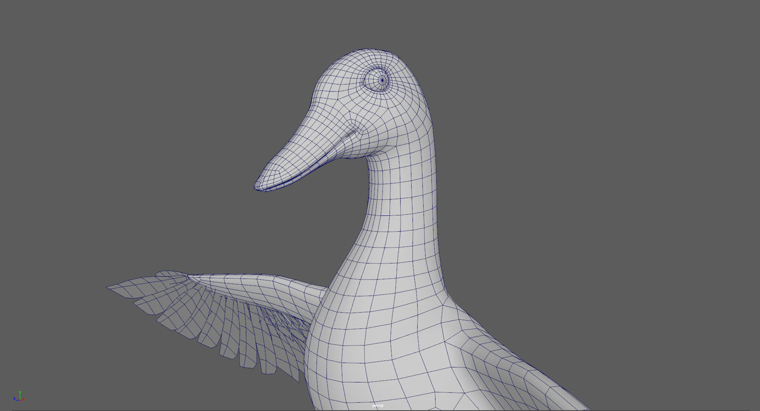 Mallard Duck Low-poly 3D model_10