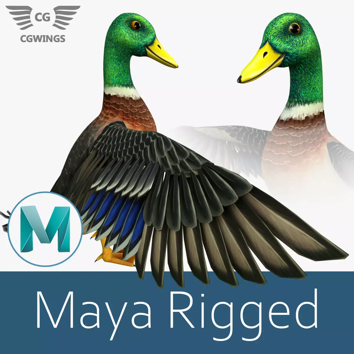 Mallard Duck Low-poly 3D model_0