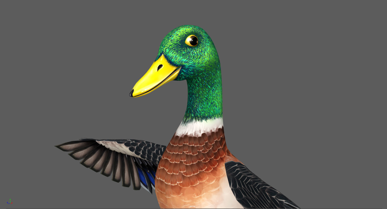 Mallard Duck Low-poly 3D model_2
