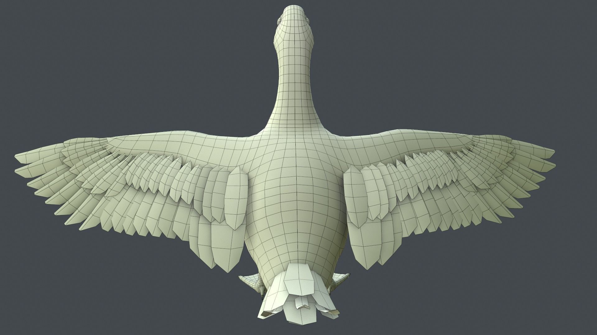 Mallard Duck Low-poly 3D model_13