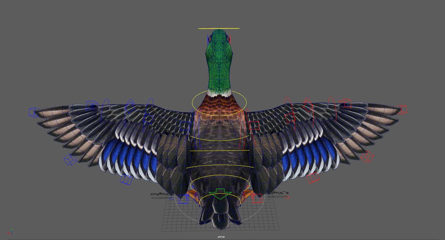 Mallard Duck Low-poly 3D model_6