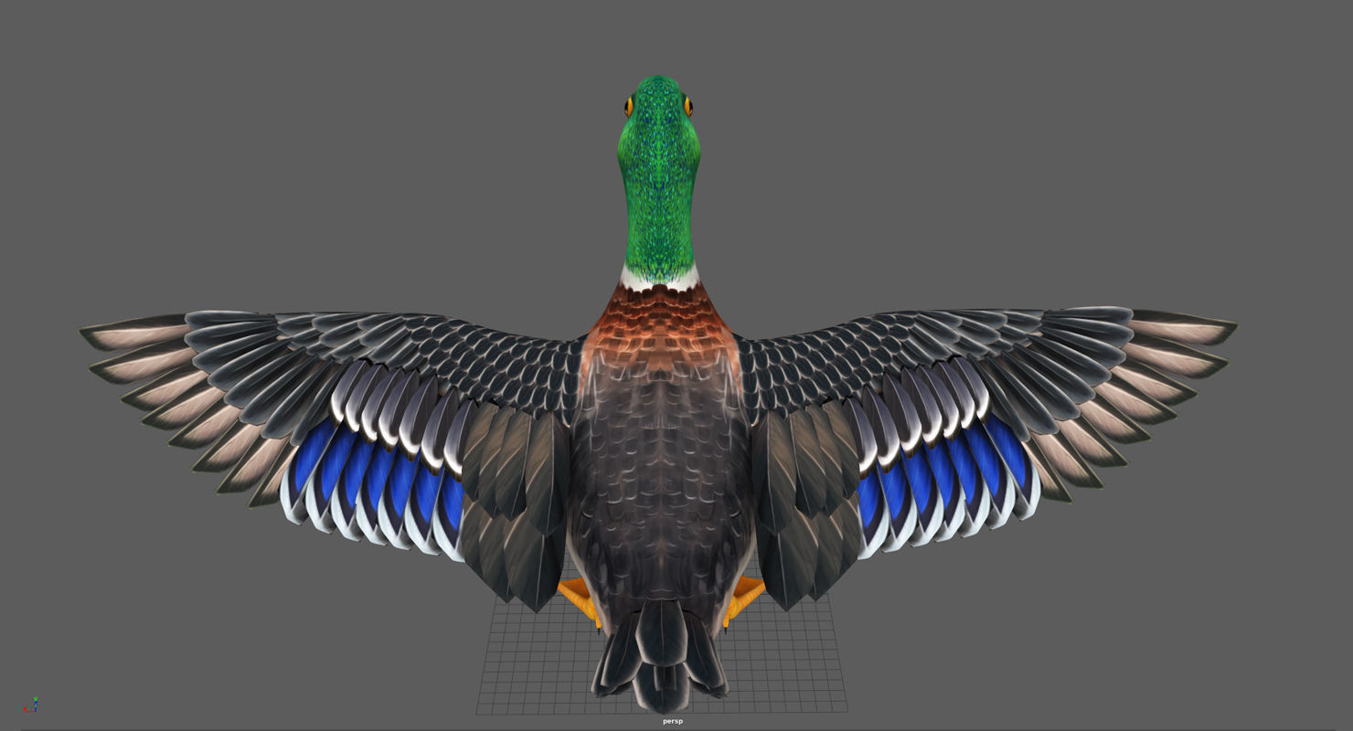 Mallard Duck Low-poly 3D model_5
