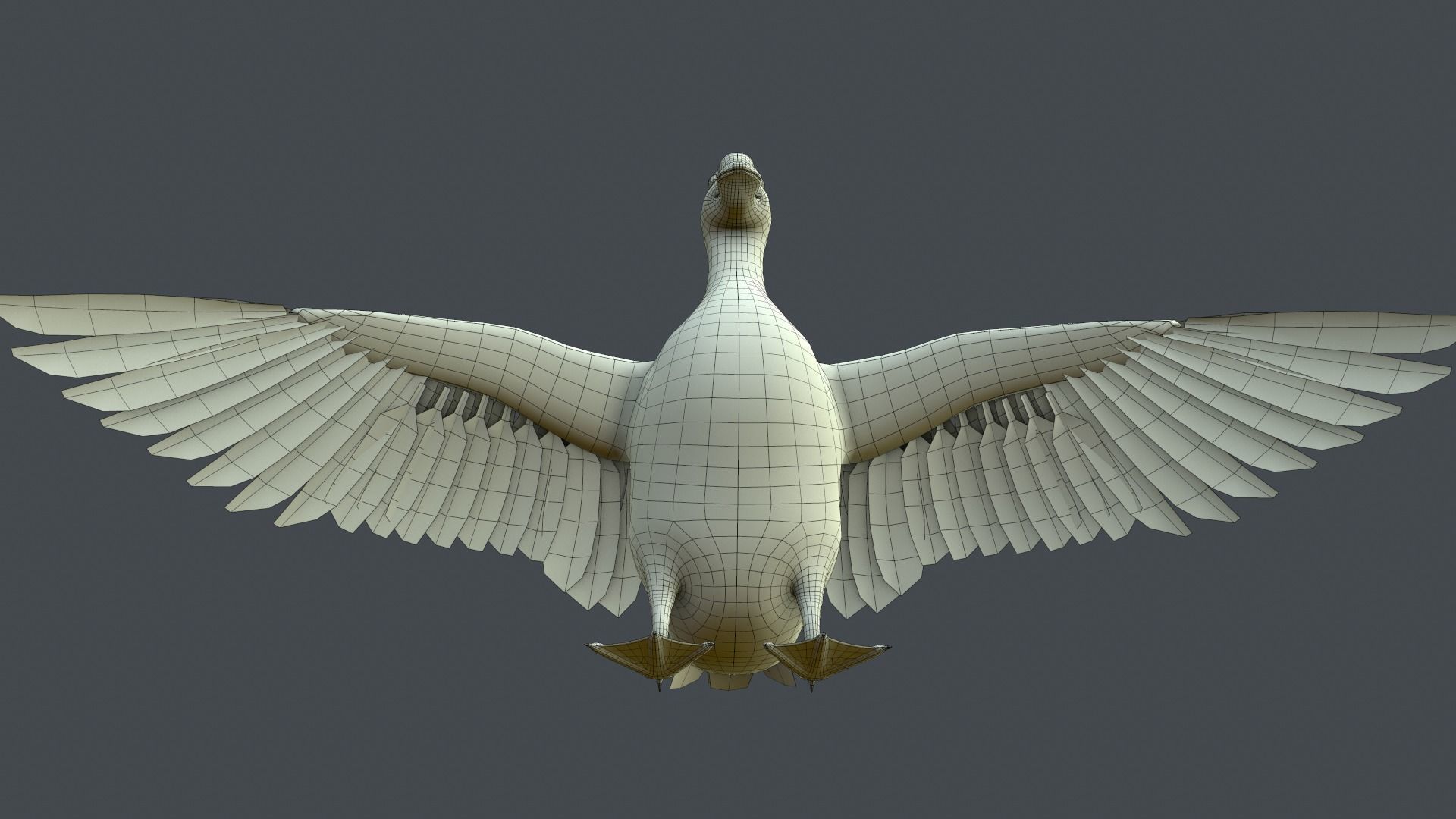 Mallard Duck Low-poly 3D model_14