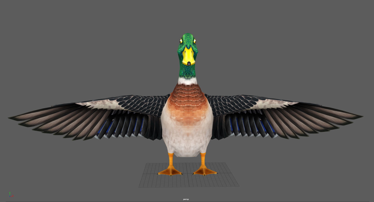 Mallard Duck Low-poly 3D model_3