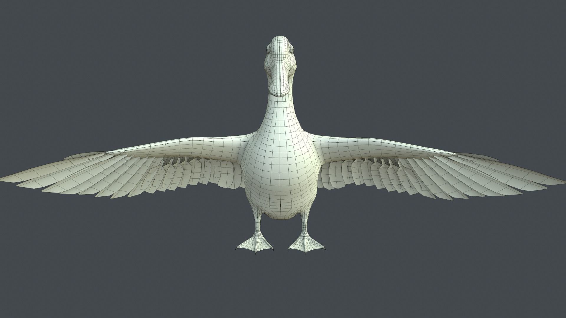 Mallard Duck Low-poly 3D model_17
