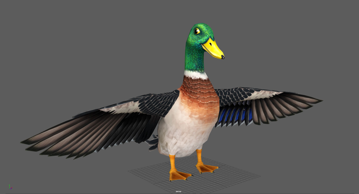 Mallard Duck Low-poly 3D model_4