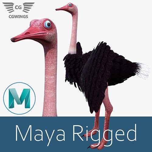 Ostrich bird Low-poly 3D model