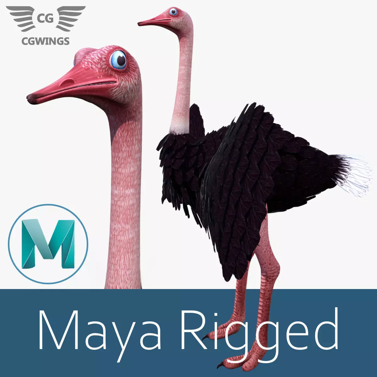 Ostrich bird Low-poly 3D model
