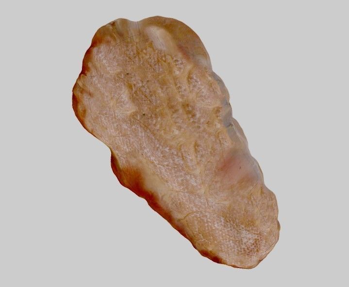 Sweet Bread 3D model_2