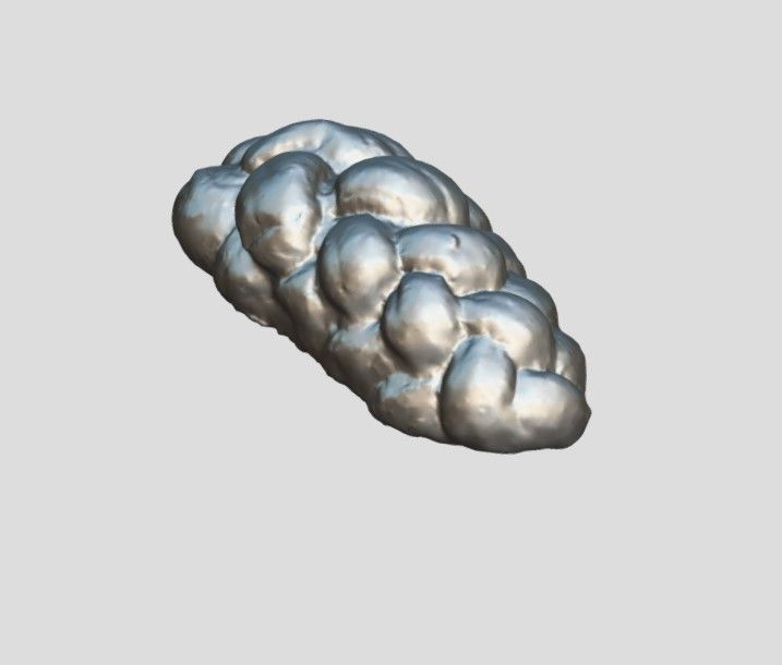 Sweet Bread 3D model_4