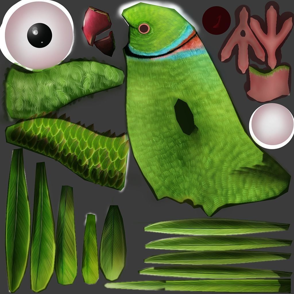 Parrot  bird Low-poly 3D model_24