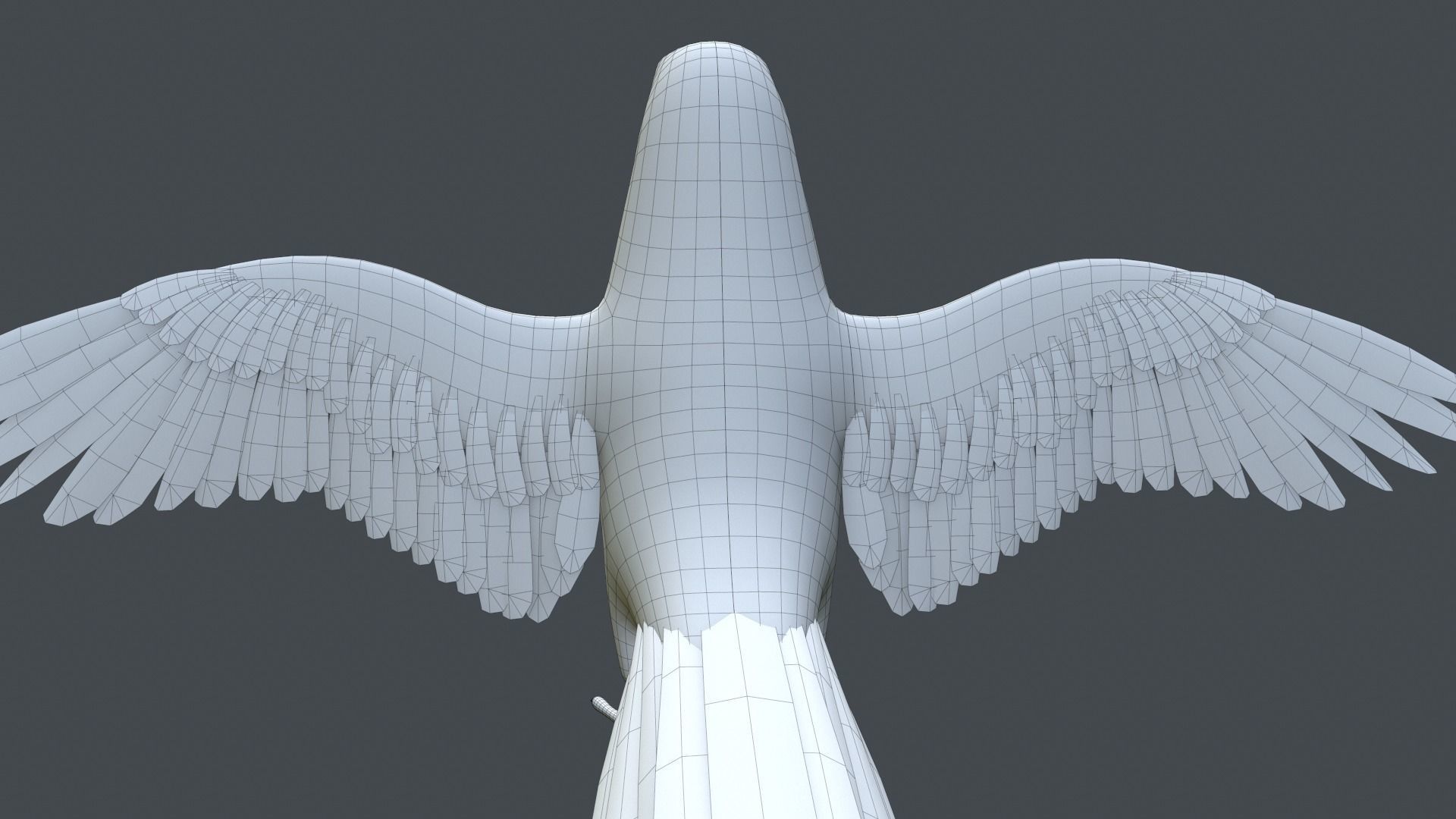 Parrot  bird Low-poly 3D model_23