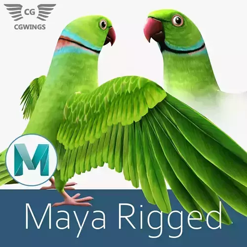 Parrot  bird Low-poly 3D model
