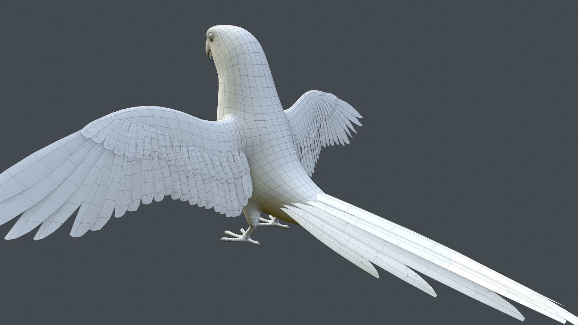 Parrot  bird Low-poly 3D model_19
