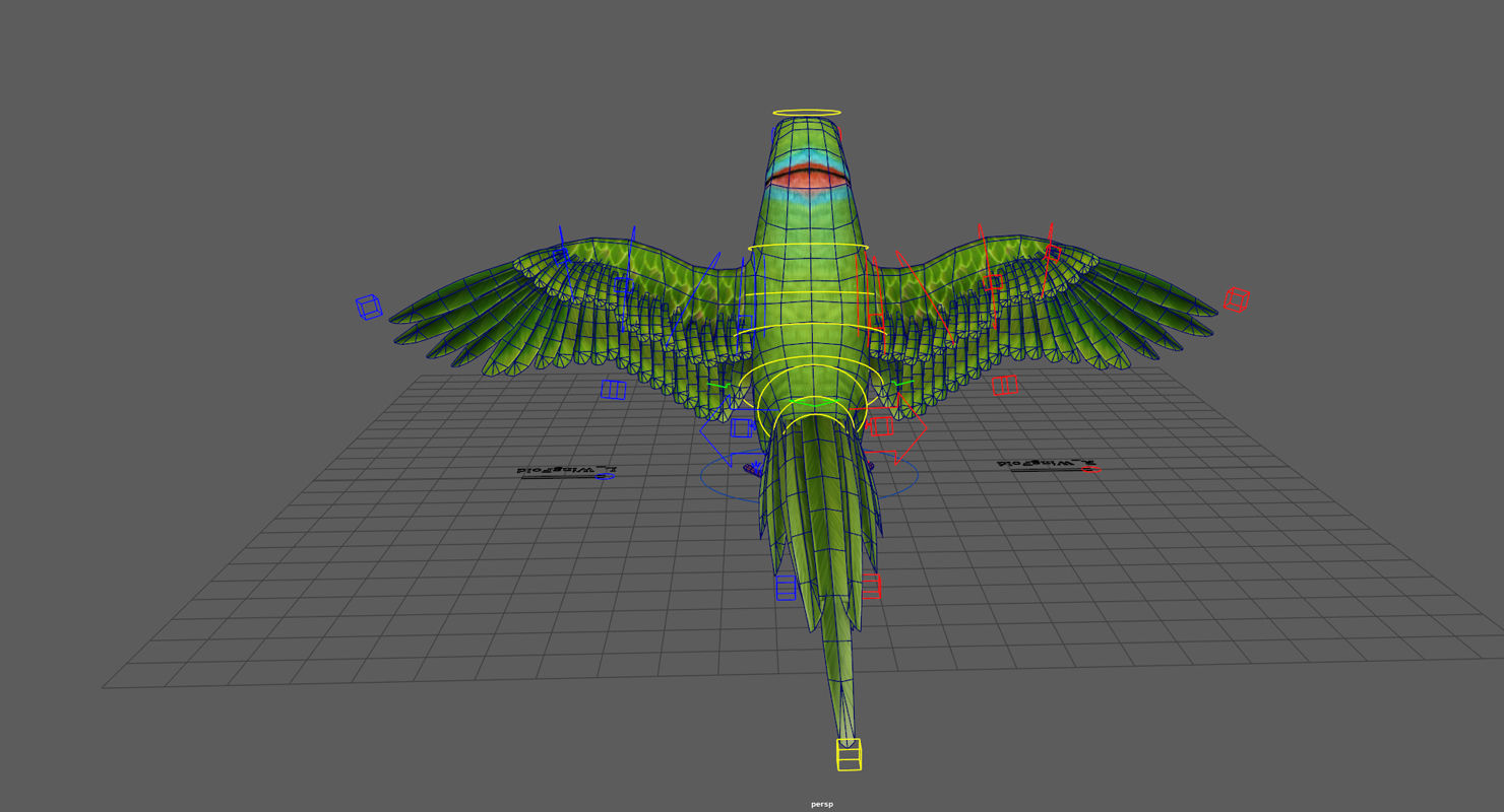 Parrot  bird Low-poly 3D model_11
