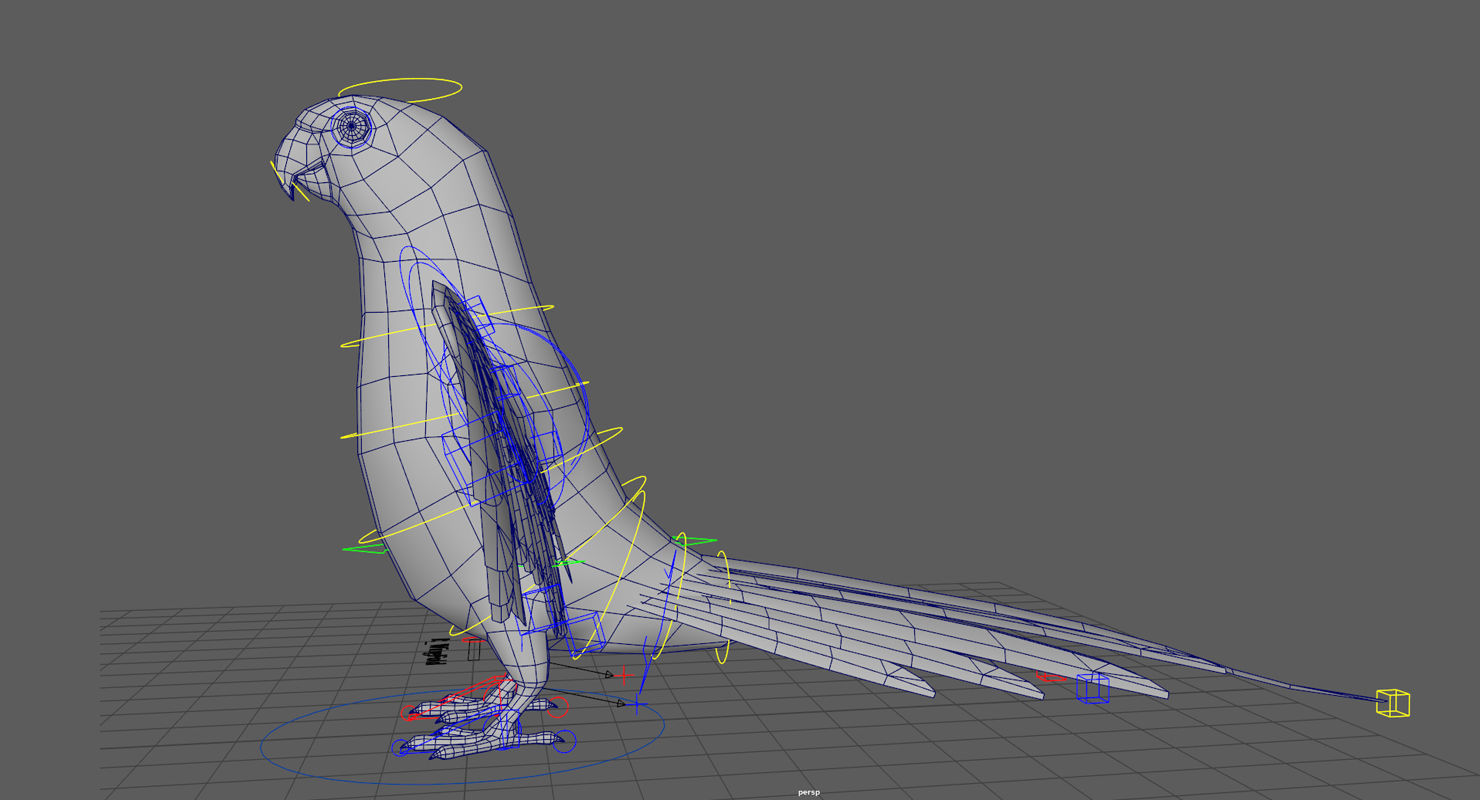 Parrot  bird Low-poly 3D model_16