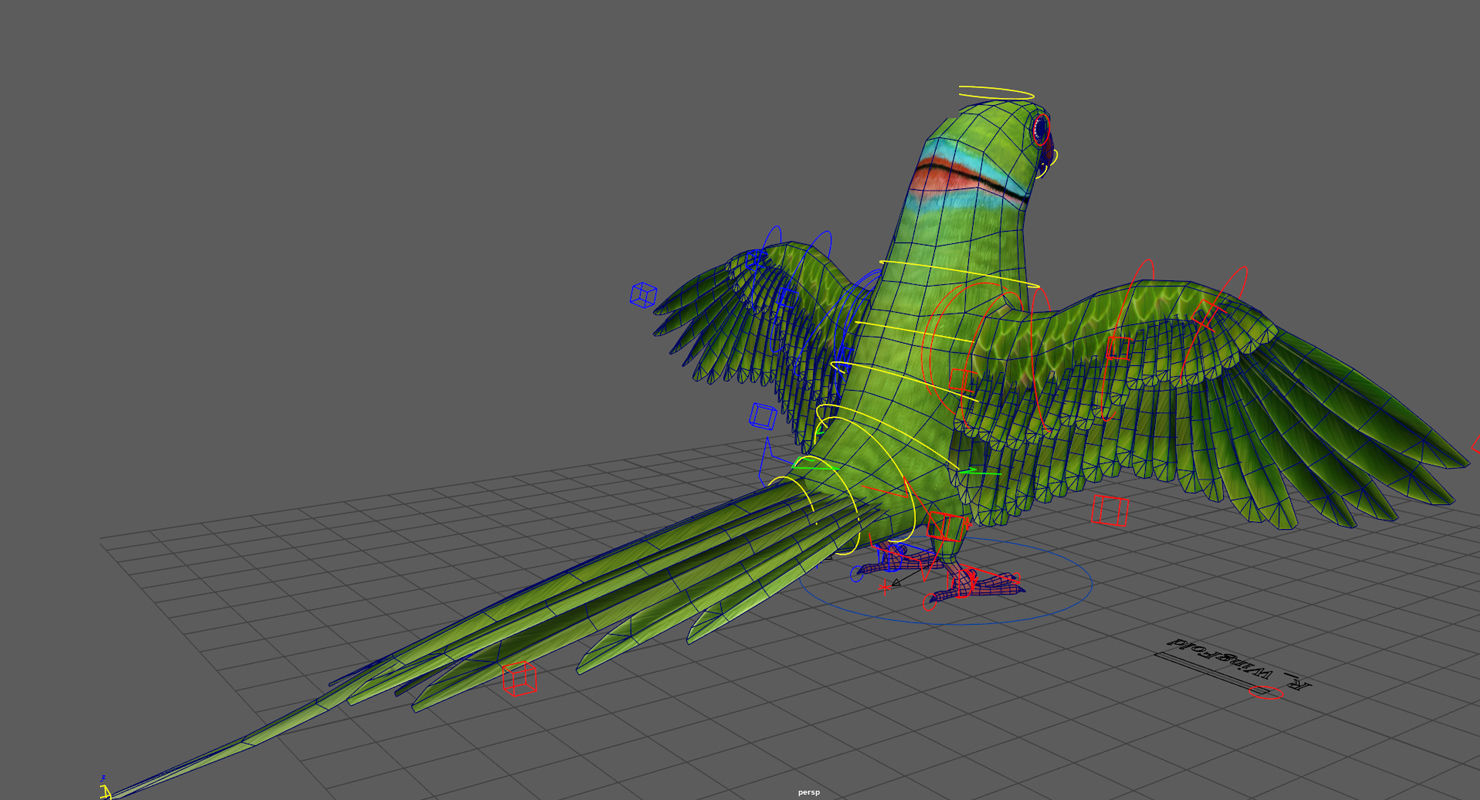 Parrot  bird Low-poly 3D model_15