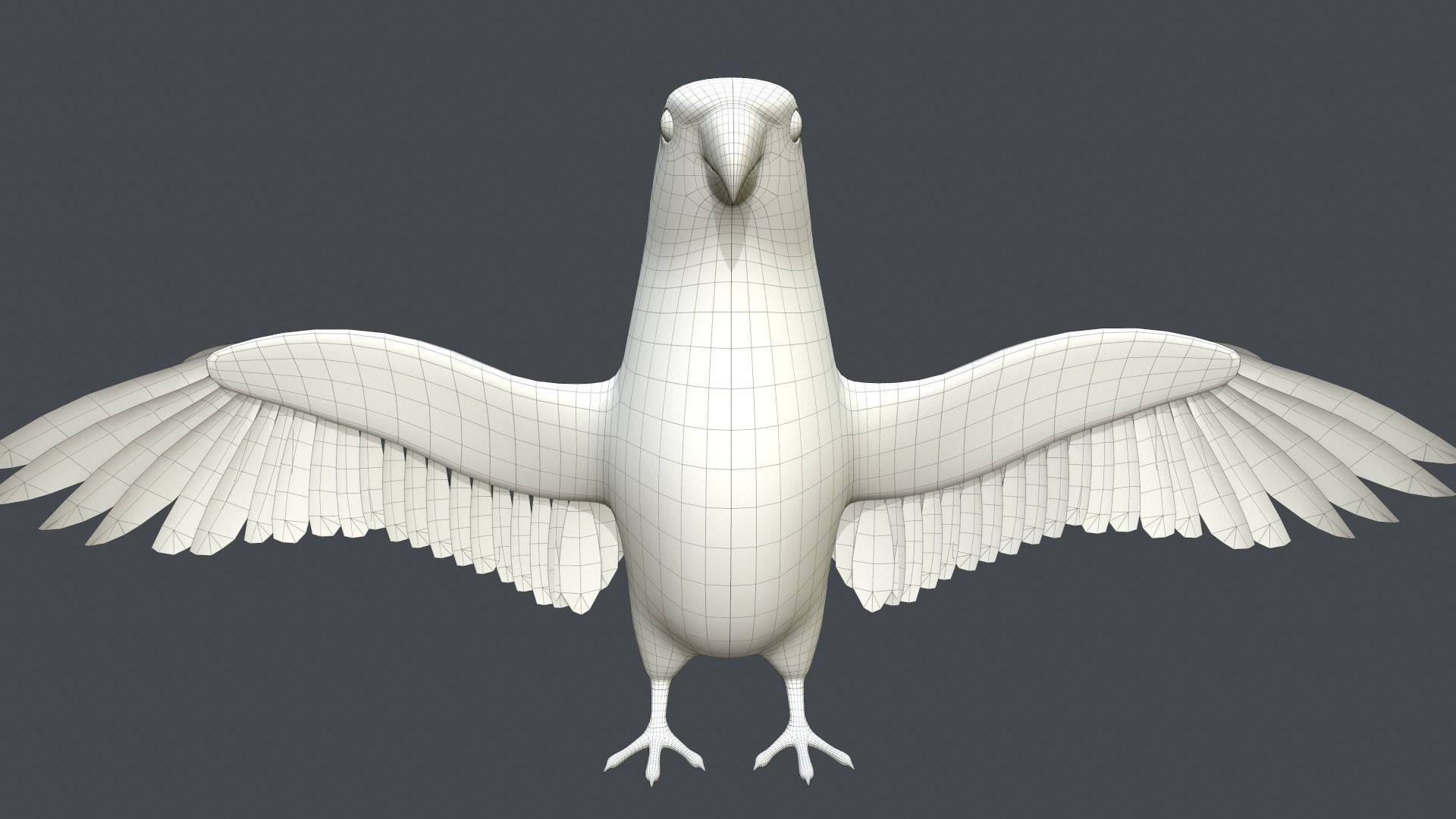 Parrot  bird Low-poly 3D model_22