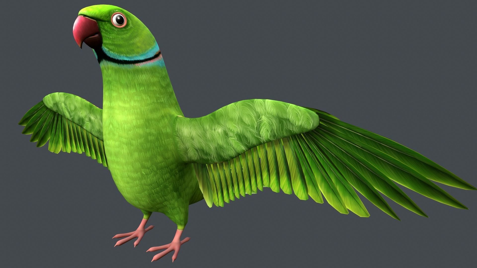 Parrot  bird Low-poly 3D model_5