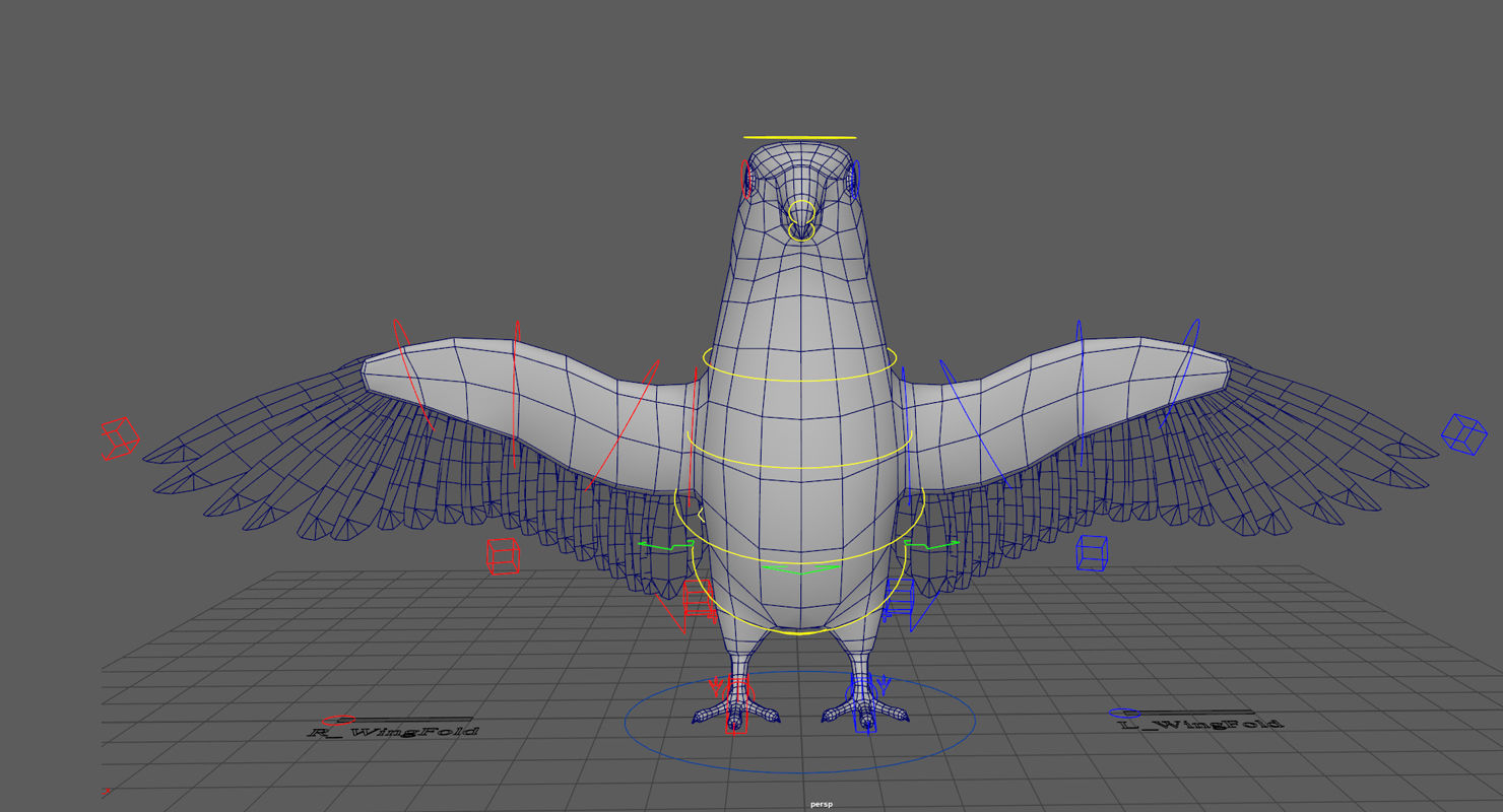 Parrot  bird Low-poly 3D model_18