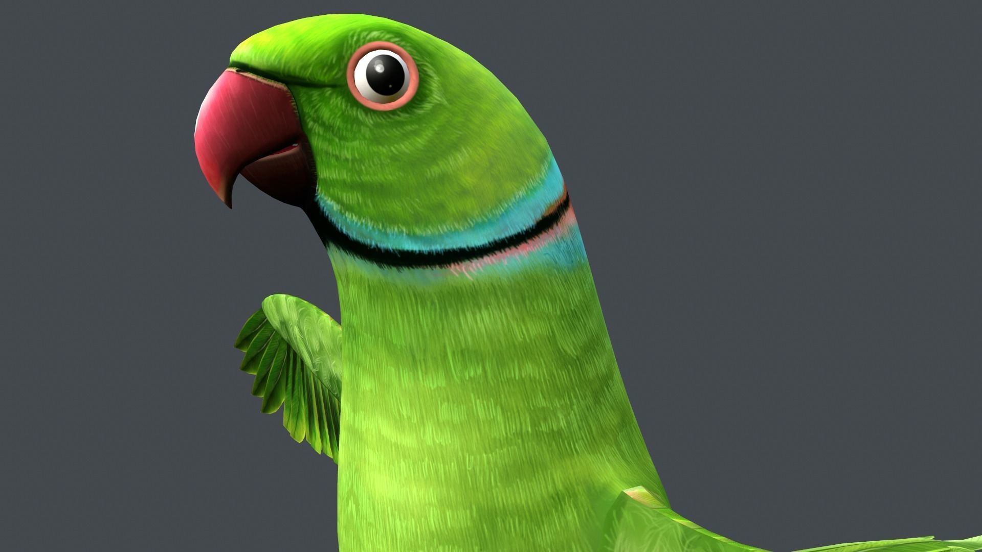 Parrot  bird Low-poly 3D model_4