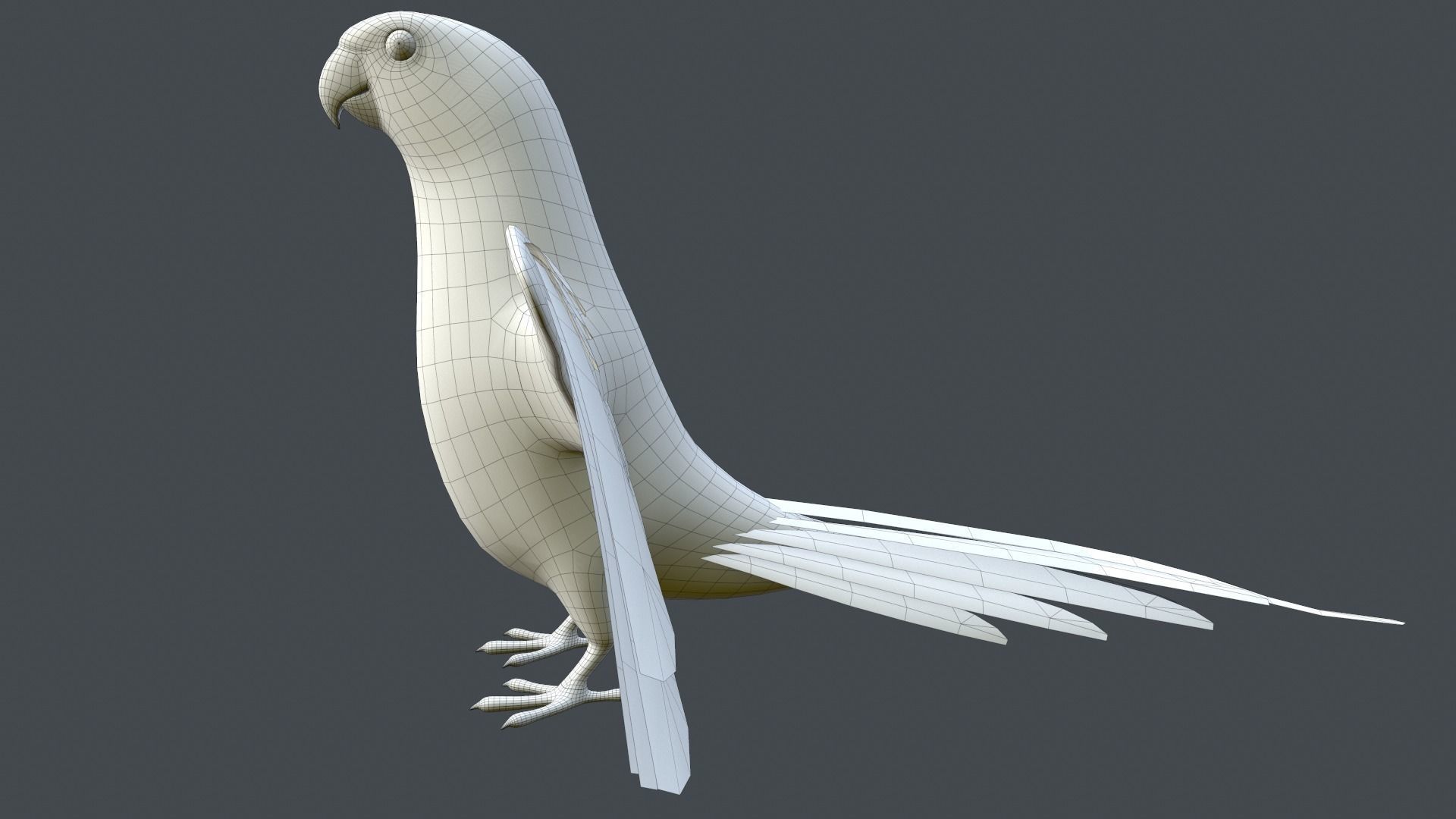 Parrot  bird Low-poly 3D model_21
