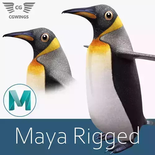 Penguin Low-poly 3D model