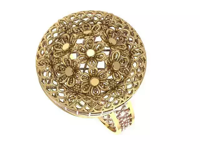 Ring With Full Worked 28