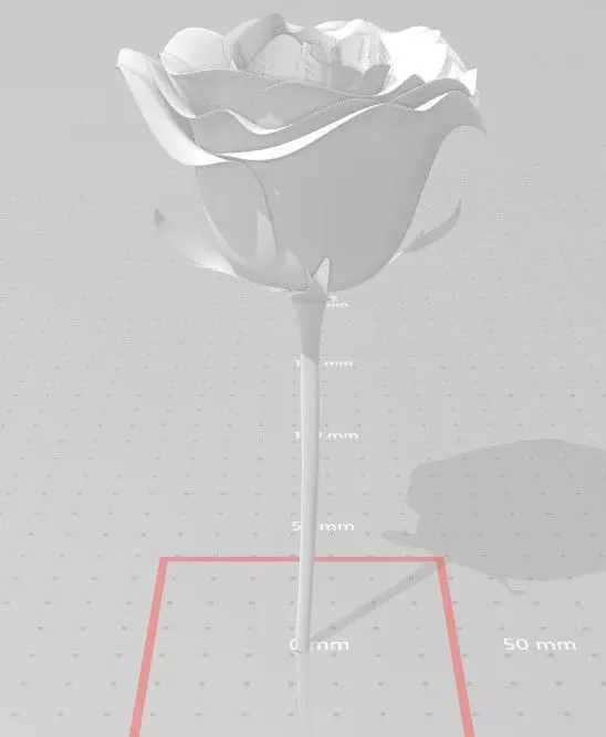 Rose flower 3D model_0
