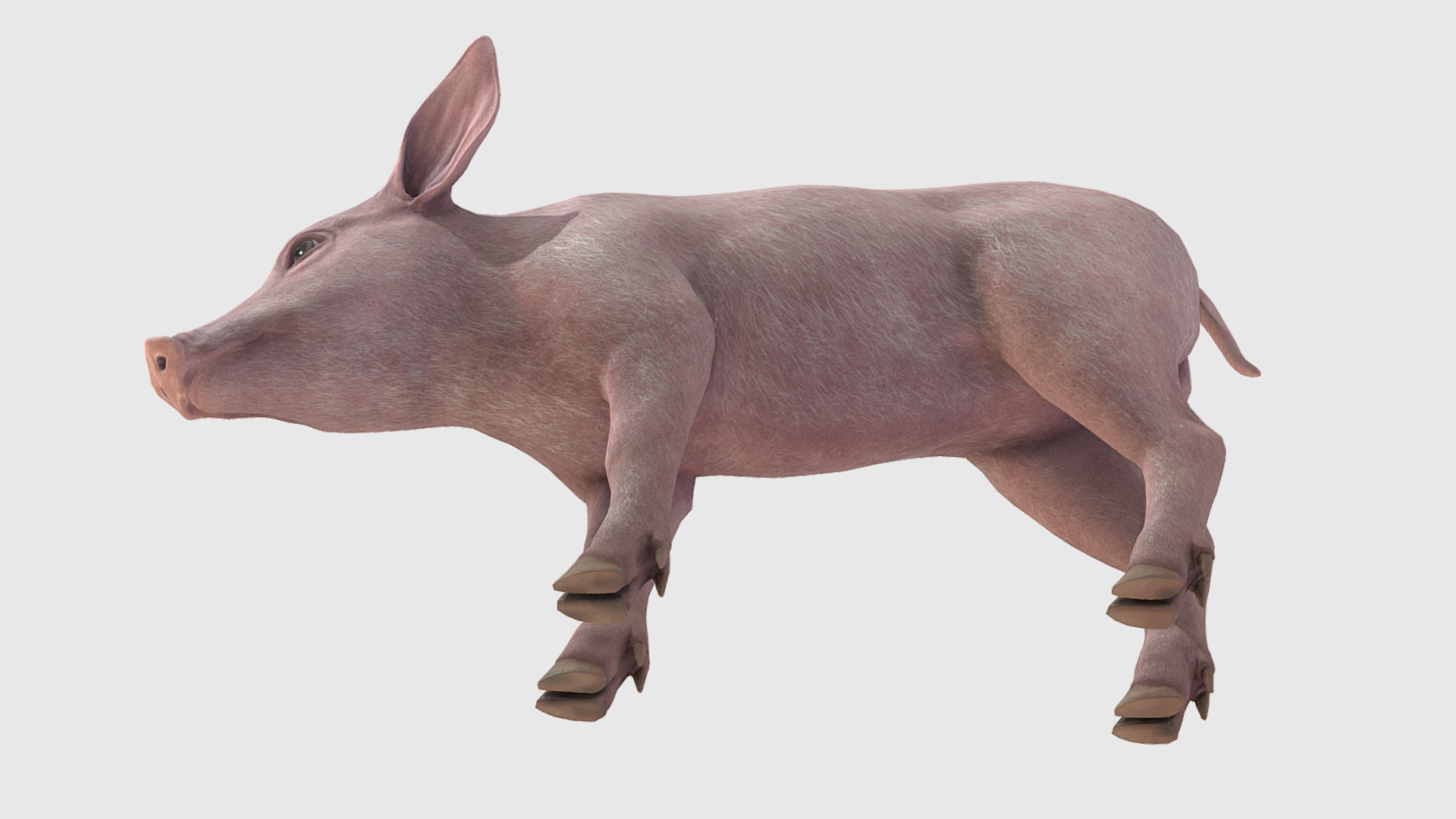 Piglet Low-poly 3D model_6